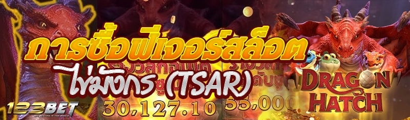 การซื้อฟีเจอร์สล็อตไข่มังกร (TSAR)