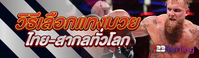 วิธีเลือกแทงมวยไทย-สากลทั่วโลก