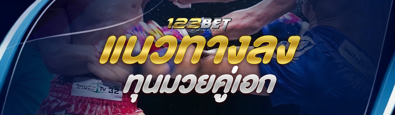 แนวทางลงทุนมวยคู่เอก